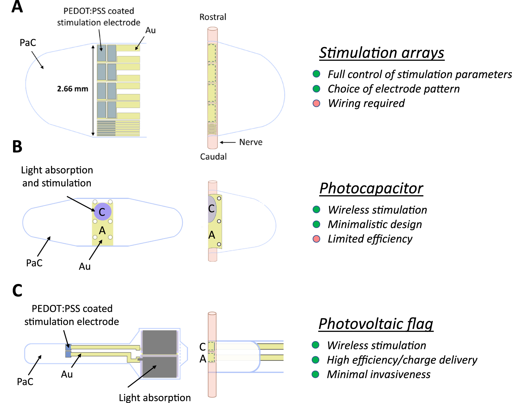 Wireless optoelectronic devices for vagus nerve stimulation in mice ...