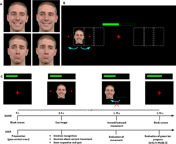 A new error-monitoring brain–computer interface based on reinforcement ...