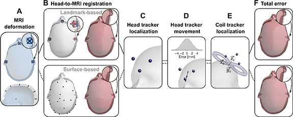 Accuracy and precision of navigated transcranial magnetic stimulation ...
