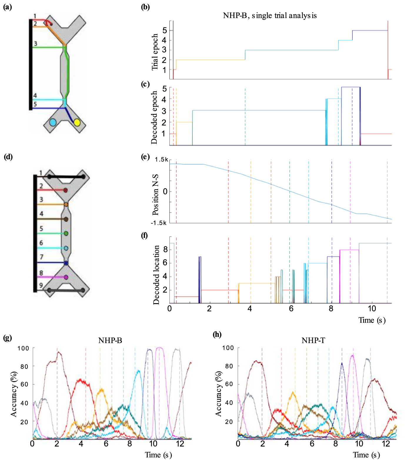 Decoding spatial locations from primate lateral prefrontal cortex ...
