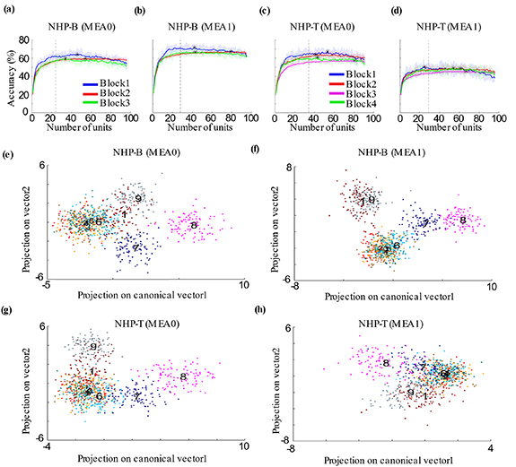 Decoding spatial locations from primate lateral prefrontal cortex ...