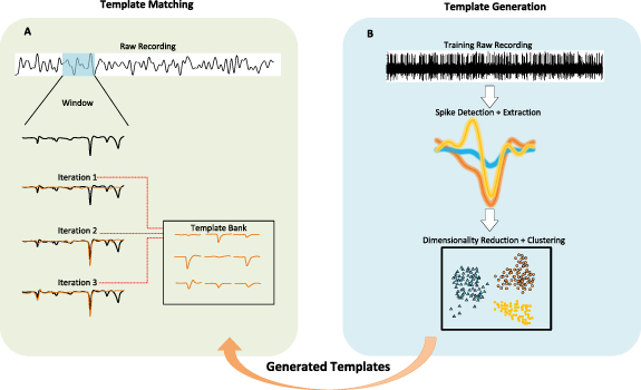 Spike sorting algorithms and their efficient hardware implementation: a ...