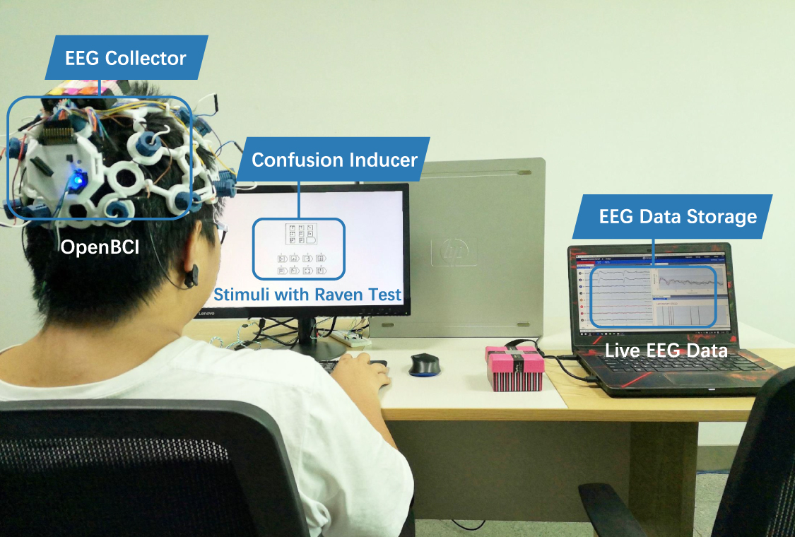 Confused or not: decoding brain activity and recognizing confusion in ...