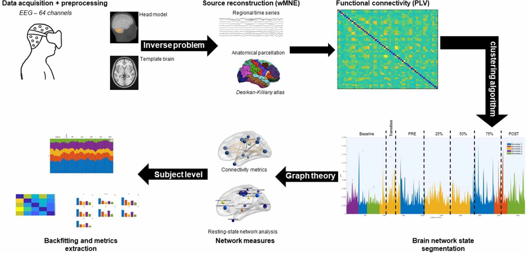 Brain network dynamics in the alpha band during a complex postural ...