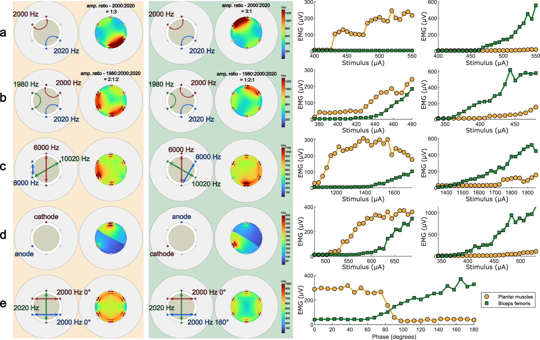 Temporal interference current stimulation in peripheral nerves is not ...