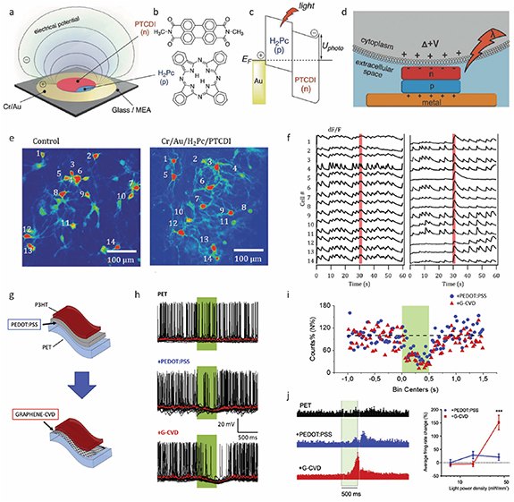 Modulating Neuron Physical mechanisms of emerging neuromodulation modalities - IOPscience