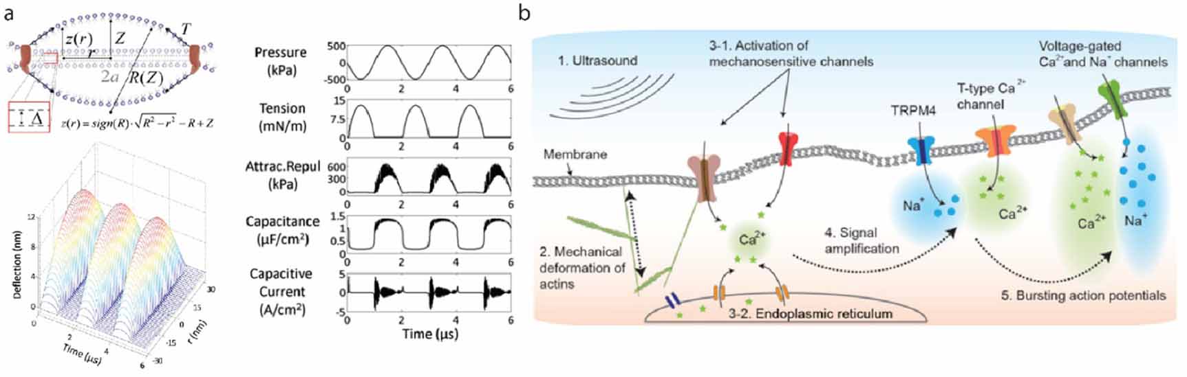 Modulating Neuron Physical mechanisms of emerging neuromodulation modalities - IOPscience