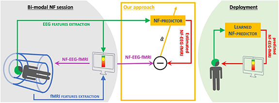 Two is better? combining EEG and fMRI for BCI and neurofeedback: a ...
