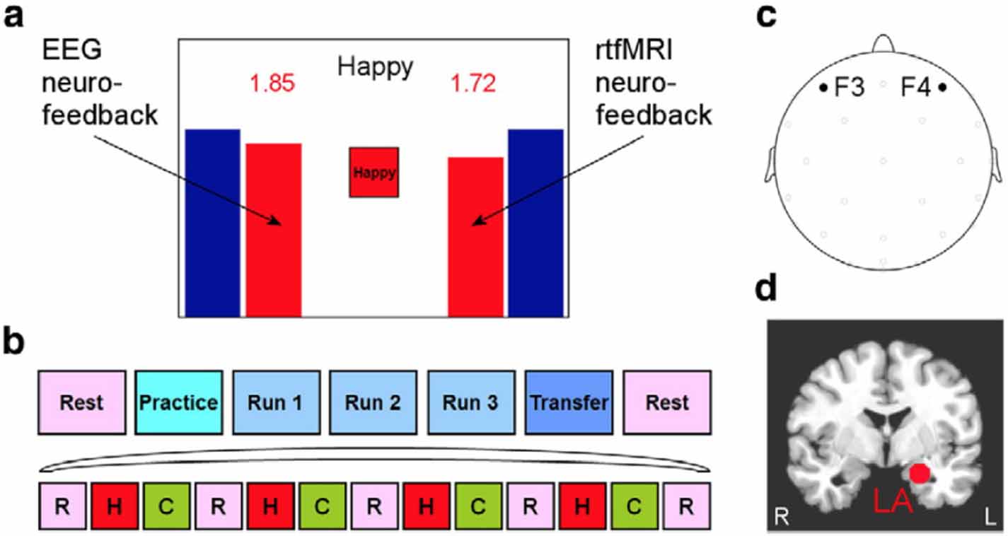 Two is better? combining EEG and fMRI for BCI and neurofeedback: a ...