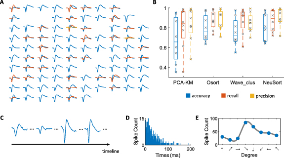 NeuSort: an automatic adaptive spike sorting approach with neuromorphic ...