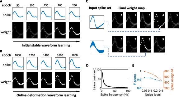 NeuSort: an automatic adaptive spike sorting approach with neuromorphic ...
