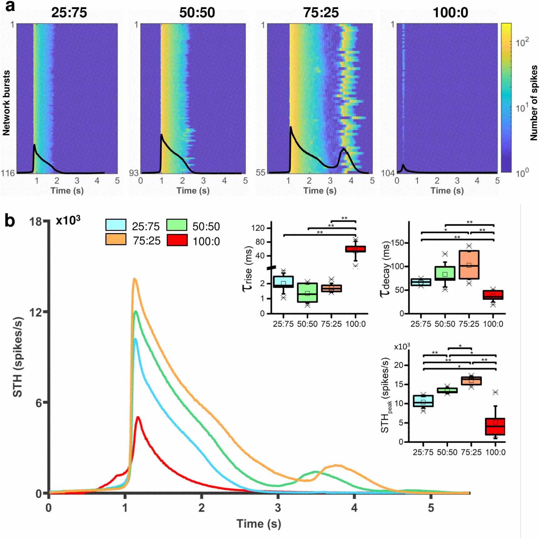 Deepening the role of excitation/inhibition balance in human iPSCs ...