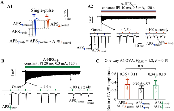 Interactions between cathodic- and anodic-pulses during high-frequency ...