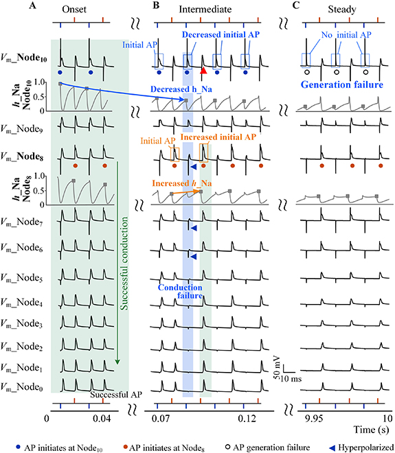 Interactions between cathodic- and anodic-pulses during high-frequency ...
