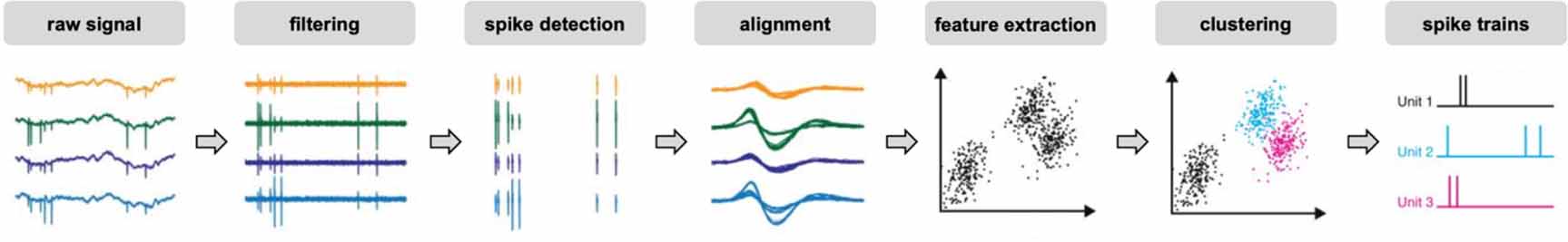 DualSort: online spike sorting with a running neural network - IOPscience