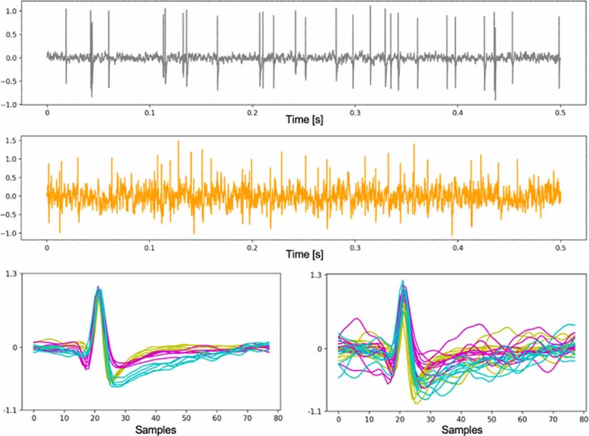 DualSort: online spike sorting with a running neural network - IOPscience