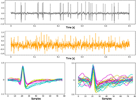 DualSort: online spike sorting with a running neural network - IOPscience