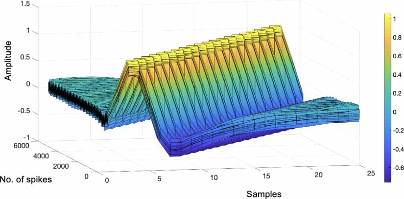 DualSort: online spike sorting with a running neural network - IOPscience