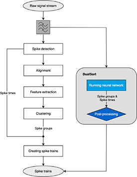 DualSort: online spike sorting with a running neural network - IOPscience