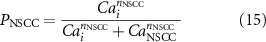 Equation (15)