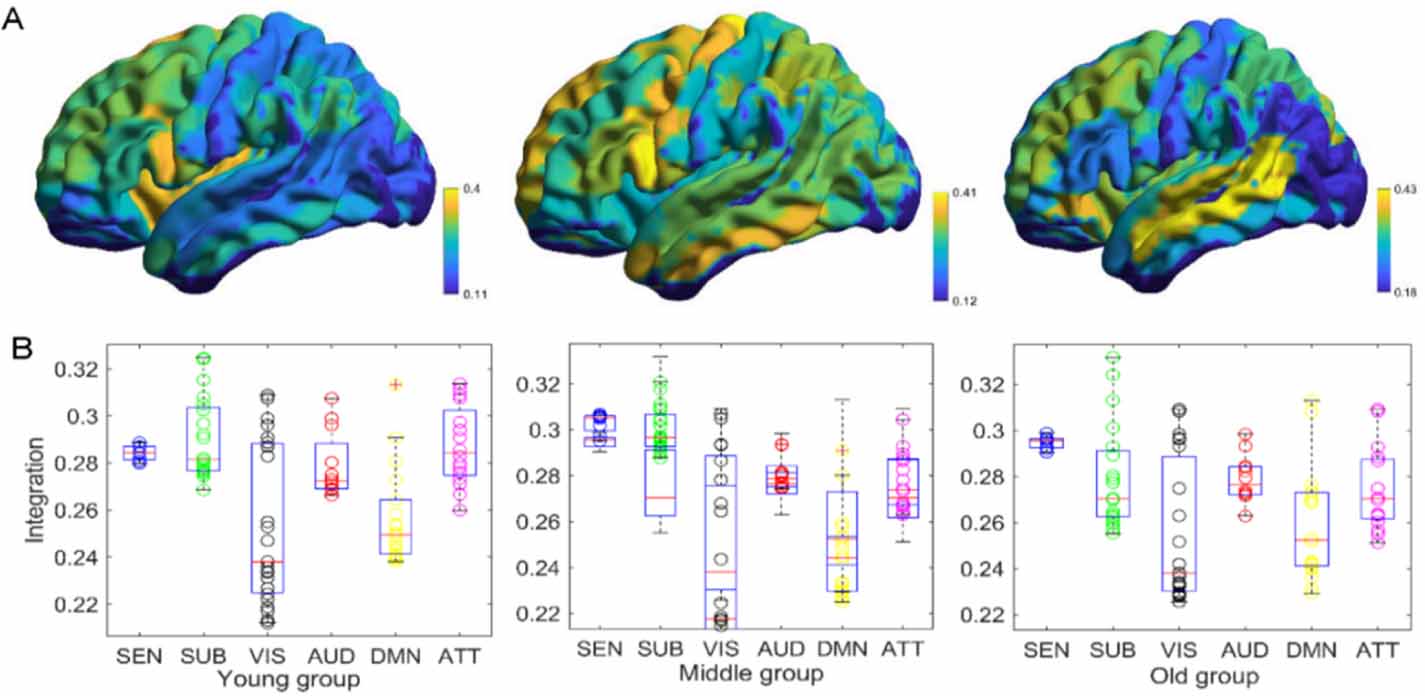 Brain connectivity patterns derived from aging-related alterations in ...