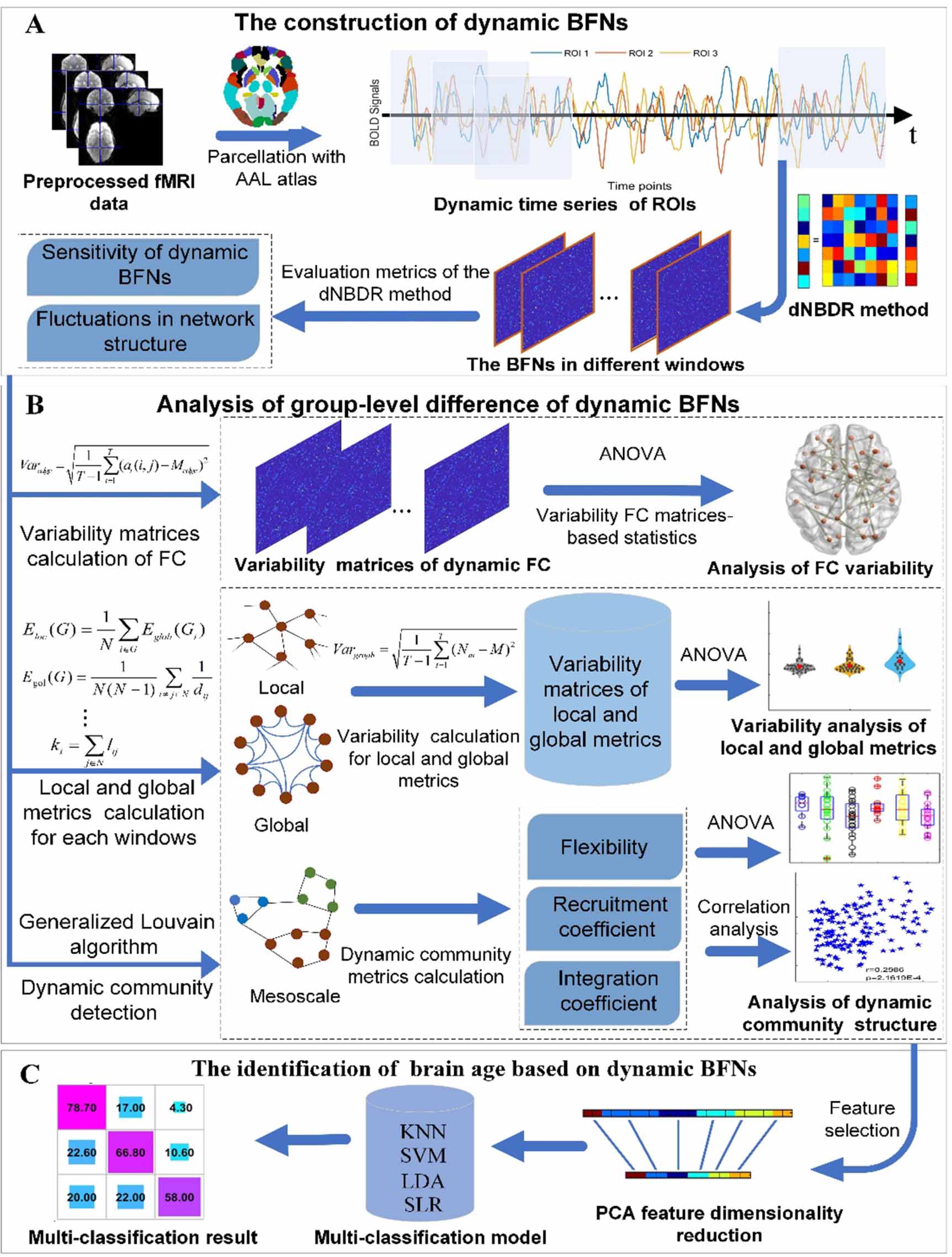 Brain connectivity patterns derived from aging-related alterations in ...
