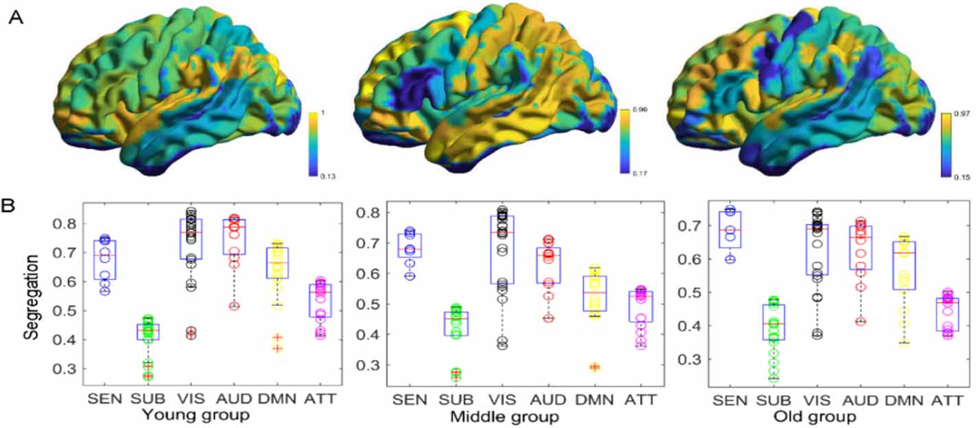 Brain connectivity patterns derived from aging-related alterations in ...