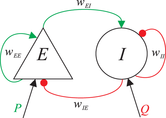 Controlling neural activity: LPV modelling of optogenetically actuated ...