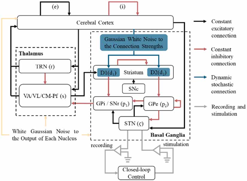 Multi-timescale neuromodulation strategy for closed-loop deep brain ...