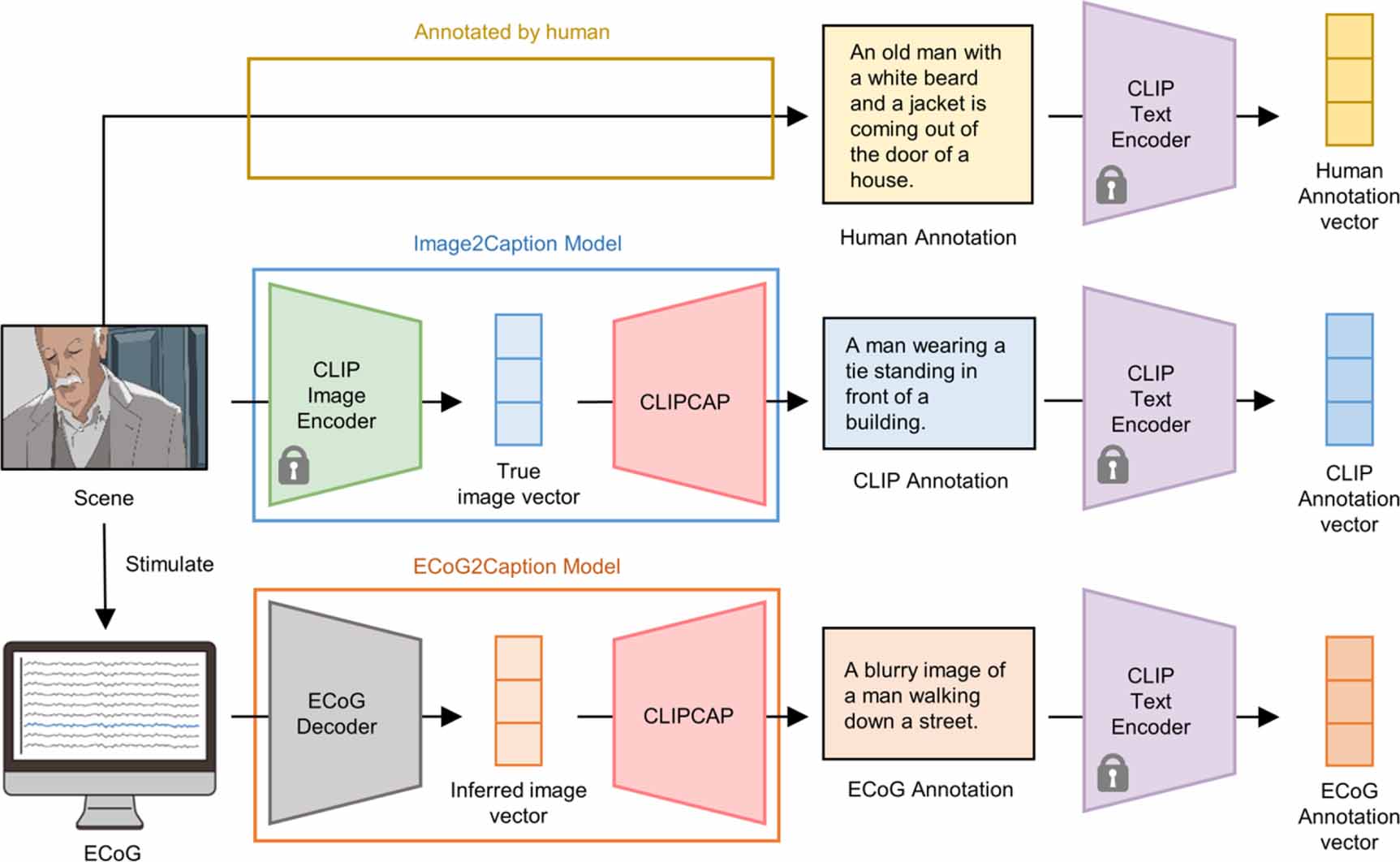 Text and image generation from intracranial electroencephalography ...
