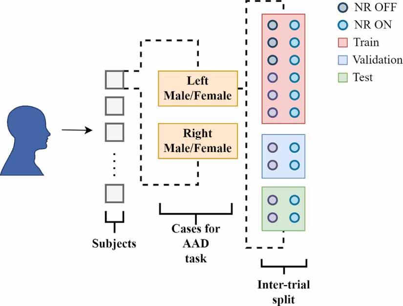 Deep learning-based auditory attention decoding in listeners with ...