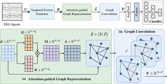 Attention-guided graph structure learning network for EEG-enabled ...
