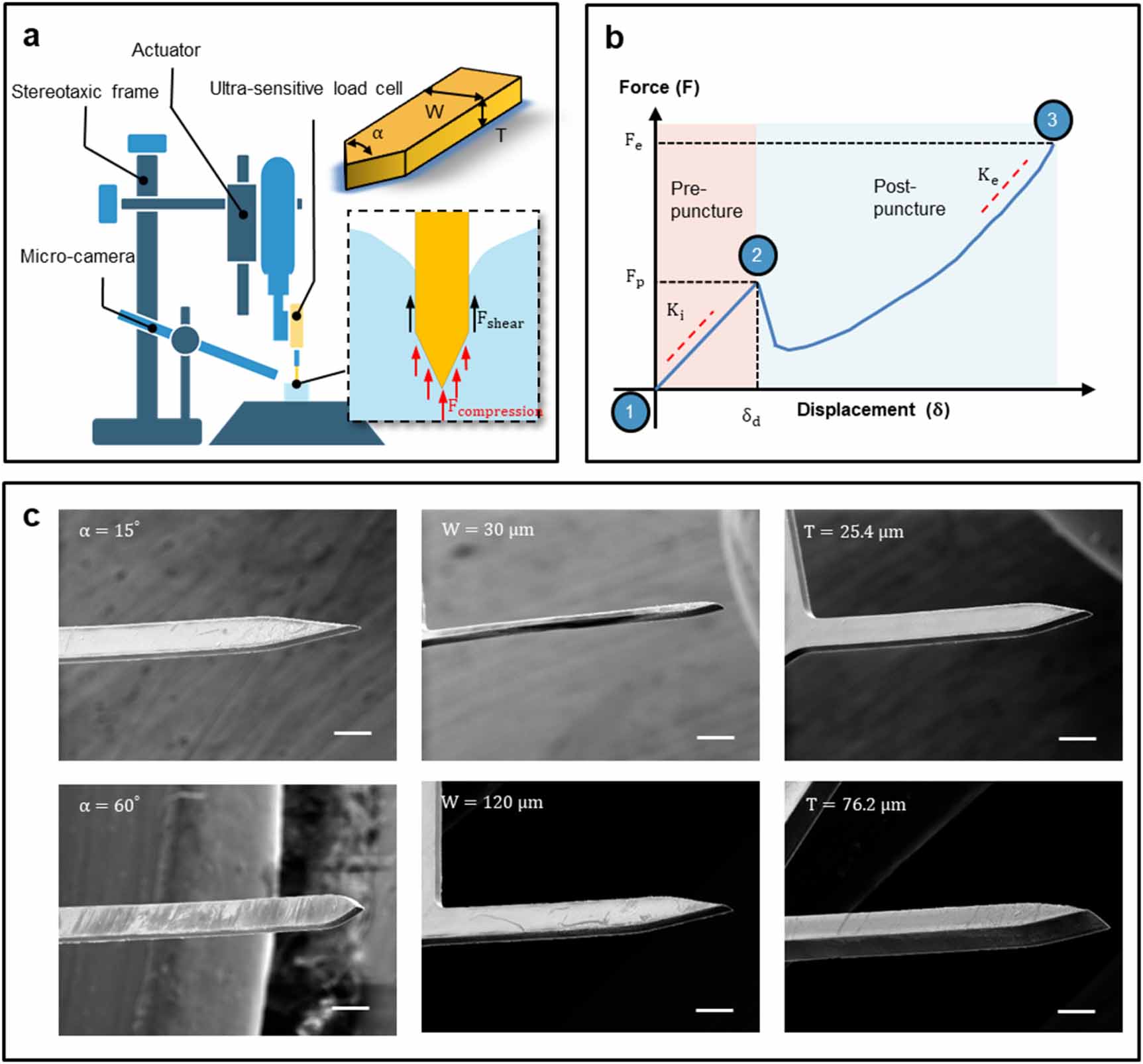 Complex Task Probe Cracking modes and force dynamics in the insertion of neural probes ...