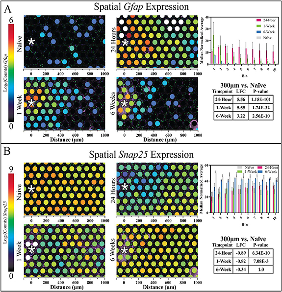 Spatial transcriptomics at the brain-electrode interface in rat motor ...