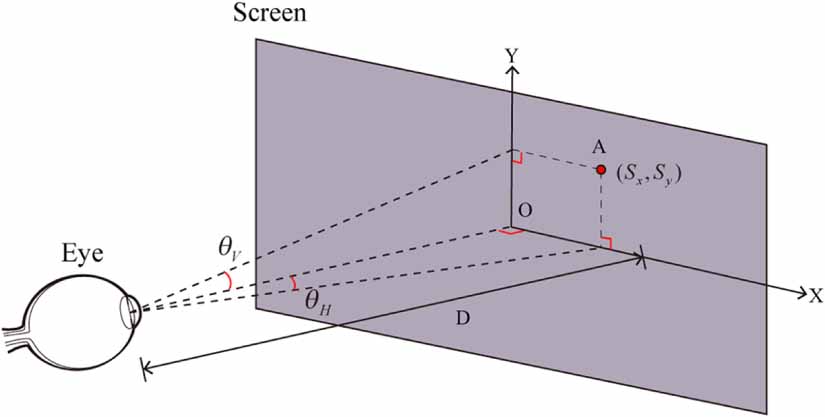 MRGazer: decoding eye gaze points from functional magnetic resonance ...