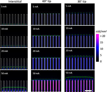 Opt Array In vivo optogenetics using a Utah Optrode Array with enhanced light ...