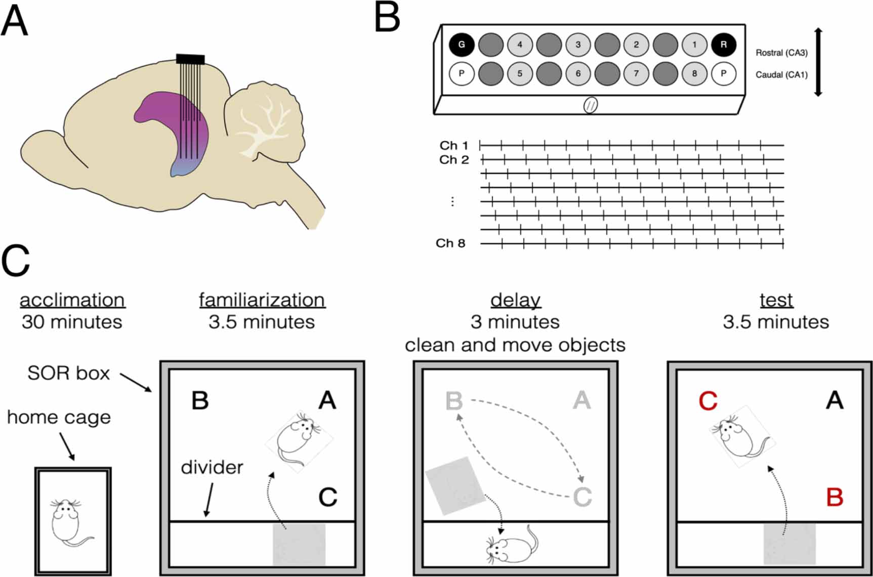 SAFE-OPT: a Bayesian optimization algorithm for learning optimal deep ...