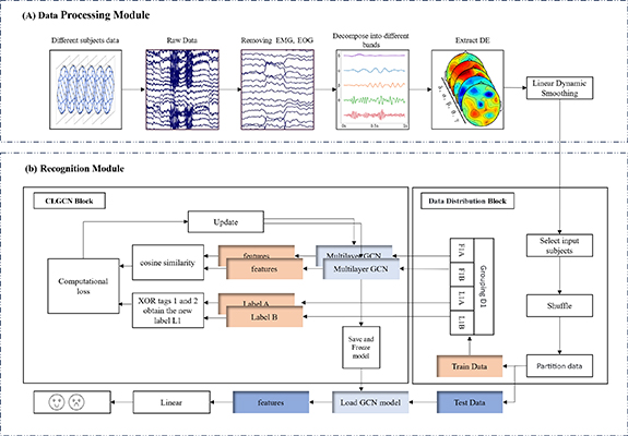 Emotion recognition of EEG signals based on contrastive learning graph ...
