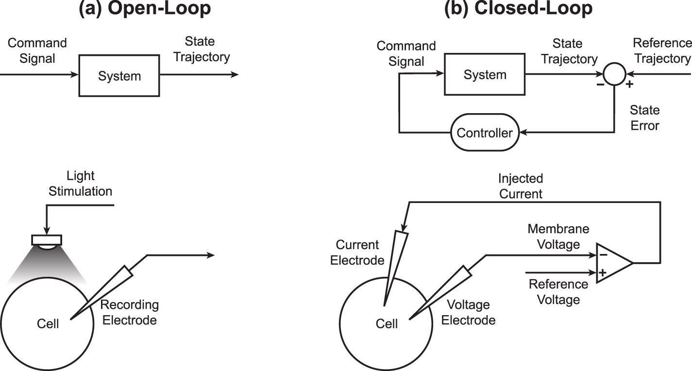 Nonlinear model predictive control of a conductance-based neuron model ...