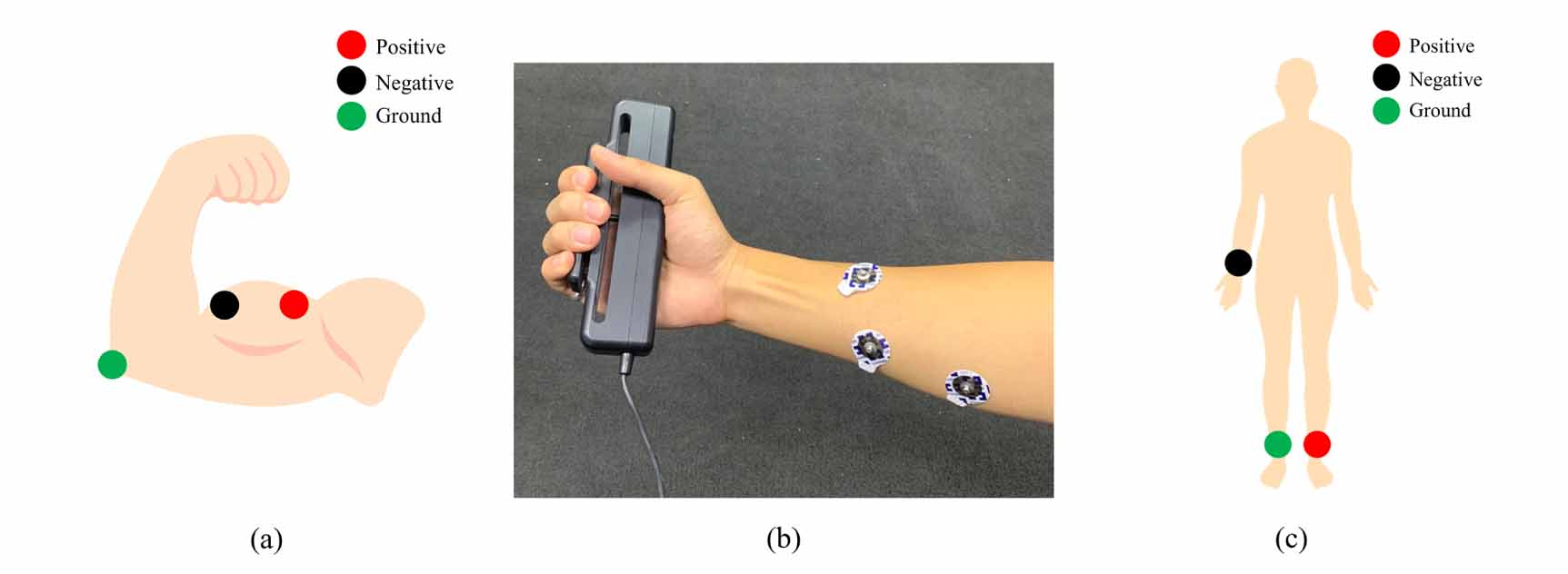 PDMS/CNT electrodes with bioamplifier for practical in-the-ear and ...