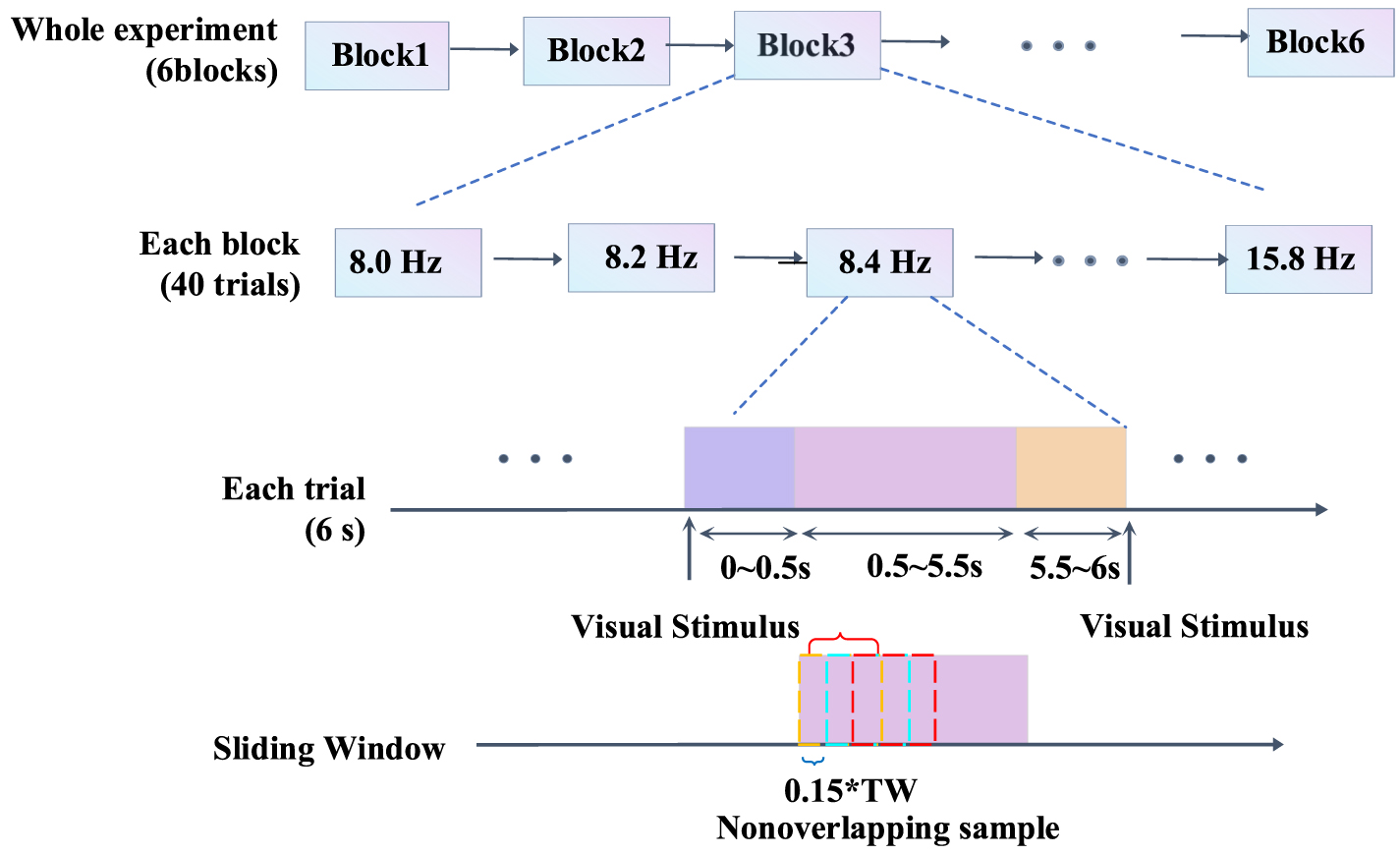 Filter banks guided correlational convolutional neural network for ...