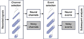 Figure 3. Refer to the following caption and surrounding text.