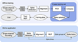 Figure 5. Refer to the following caption and surrounding text.