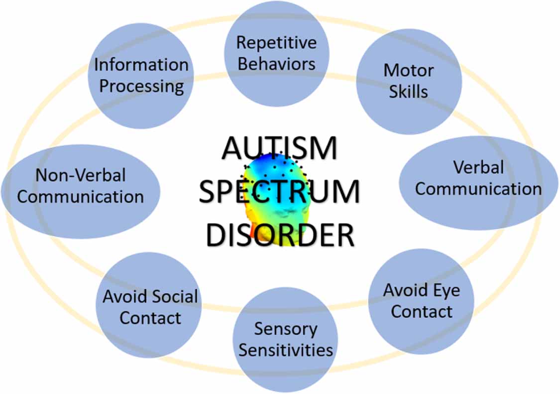 Identification of autism spectrum disorder using electroencephalography ...