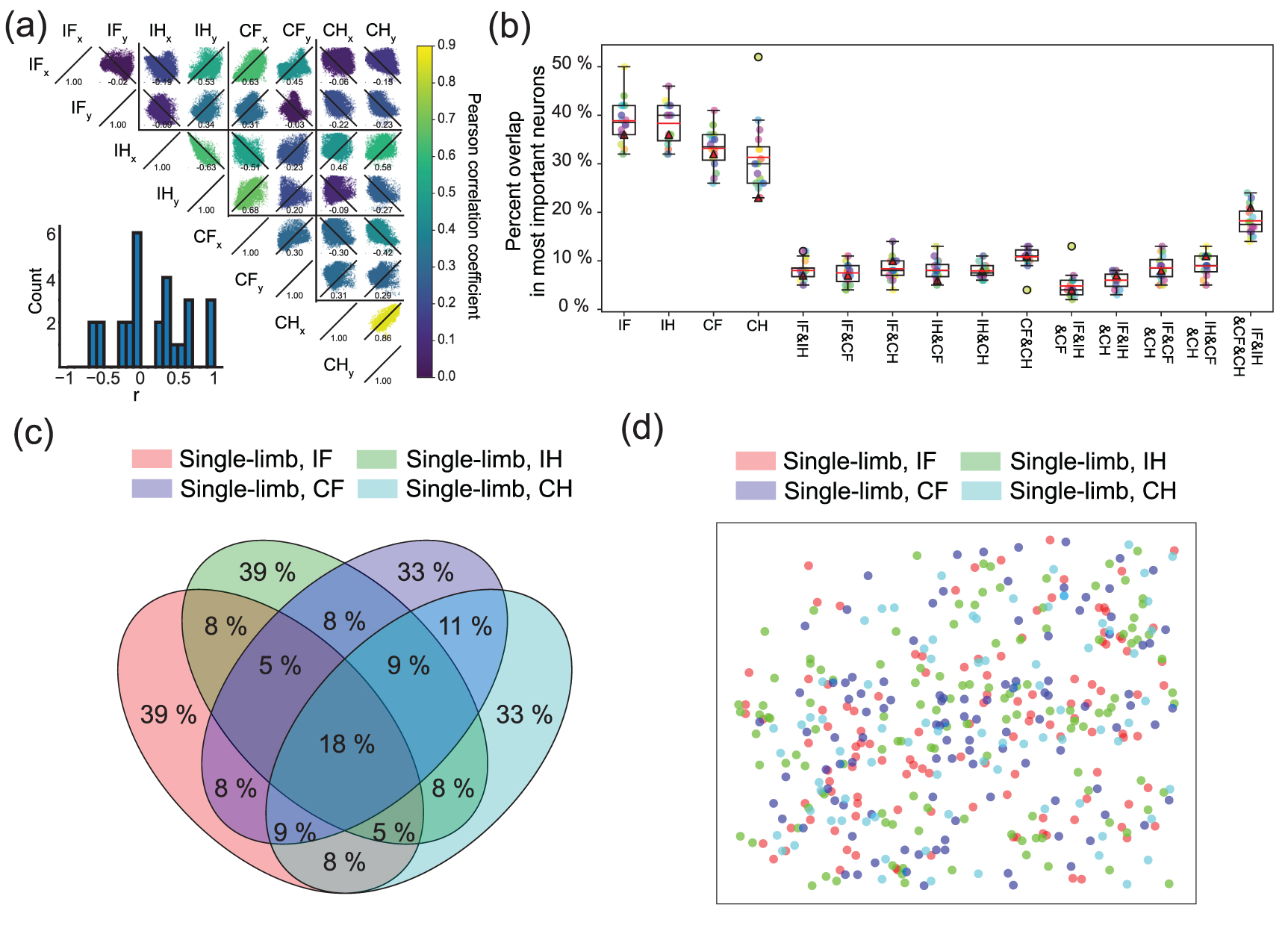 Decoding multi-limb movements from two-photon calcium imaging of ...