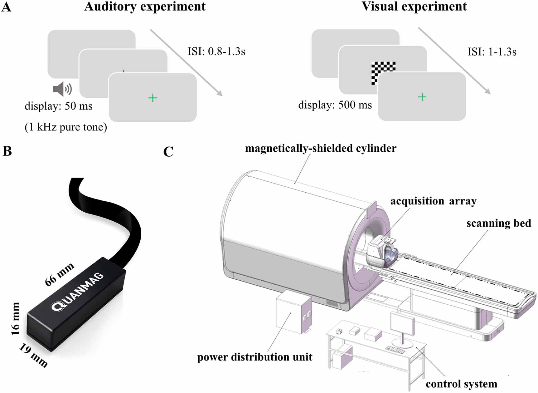 Performance of optically pumped magnetometer magnetoencephalography ...
