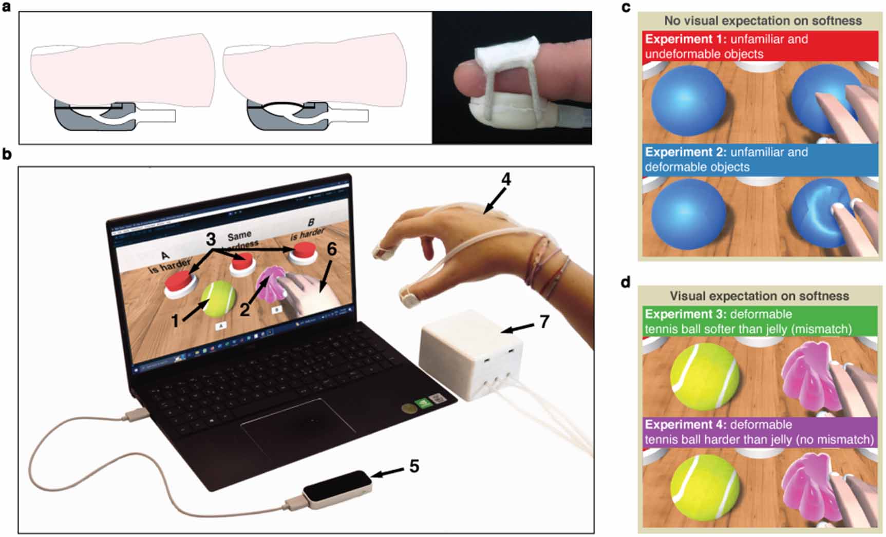 Tactile sensitivity to softness in virtual reality can increase when ...