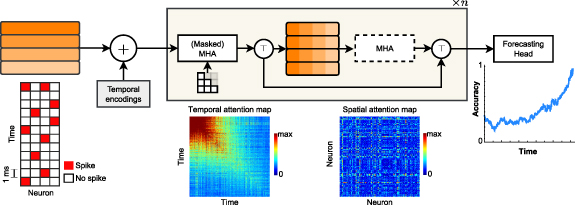 Spatio-temporal transformers for decoding neural movement control ...