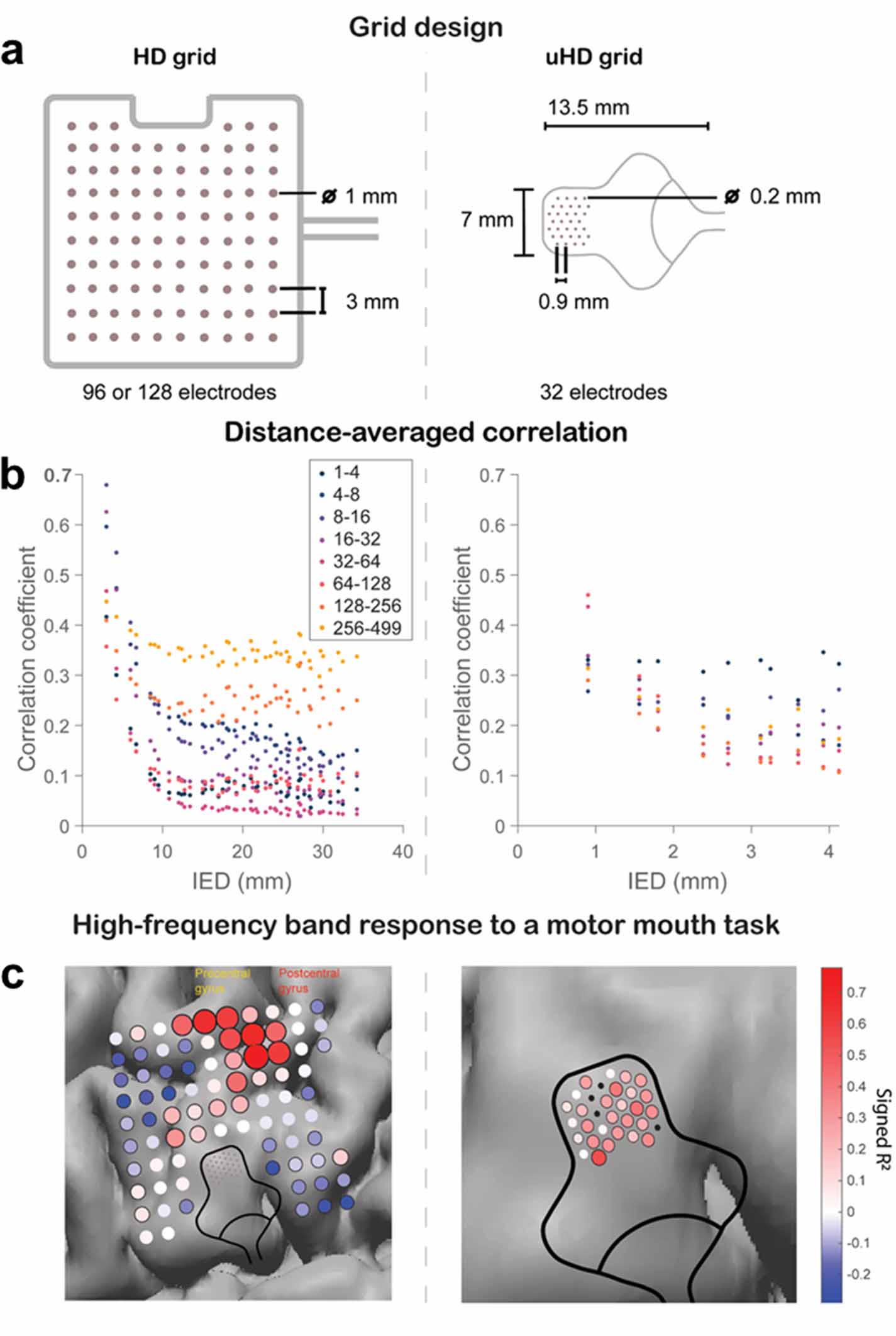 Master classes of the tenth international brain–computer interface ...