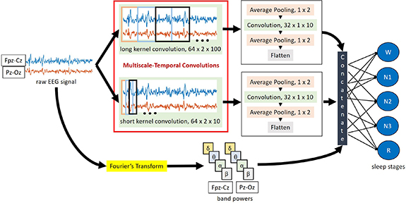Explainable multiscale temporal convolutional neural network model for ...